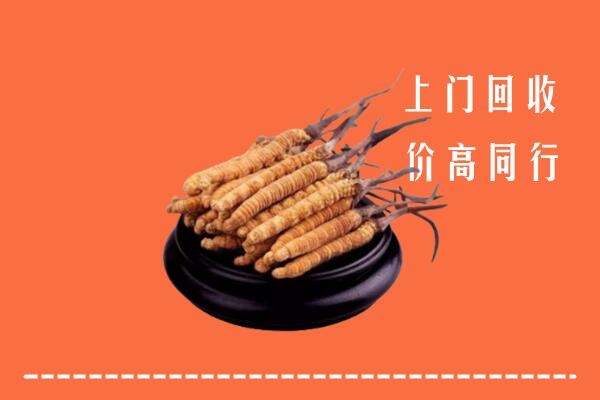 高价求购：南充市回收散虫草