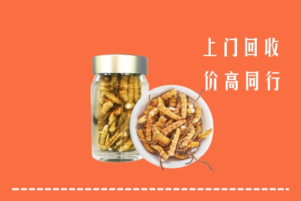 南充市回收冬虫夏草